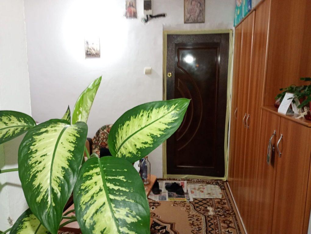 Garsoniera Aleea Livezilor