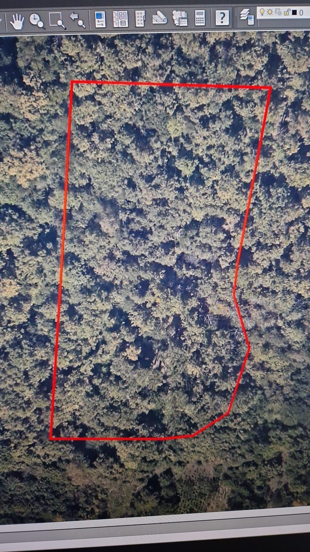 Vând teren Baia Mare - imagine 1