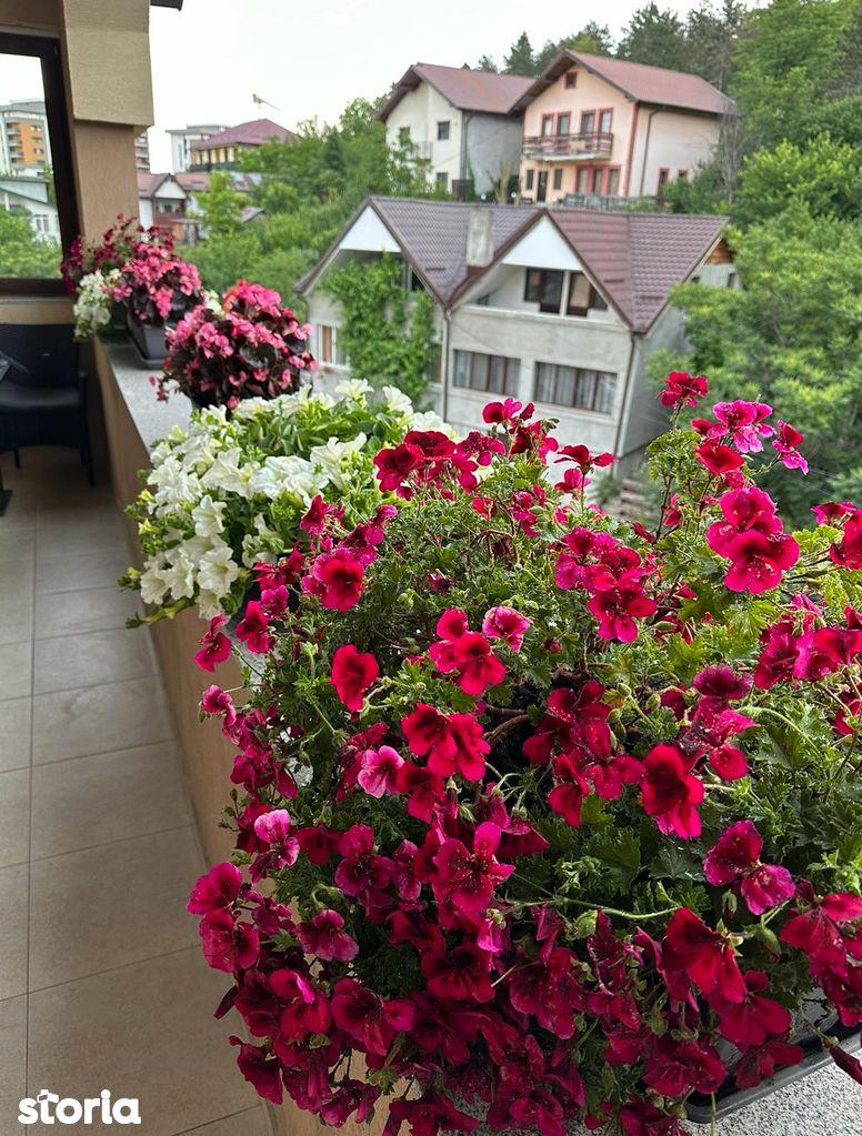 Vand apartament cu 2 camere, terasa,curte interioară lângă pădure - imagine 1