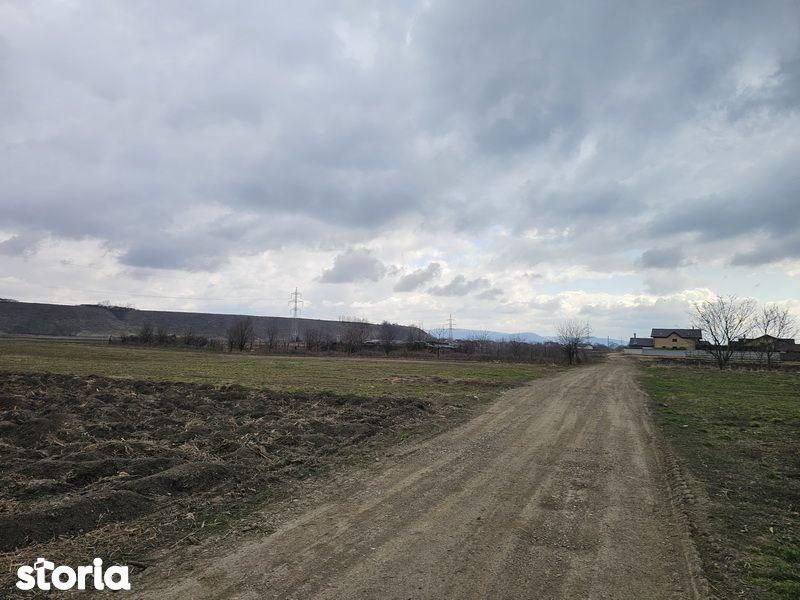 Oportunitate investitie – Teren intravilan in Bacau