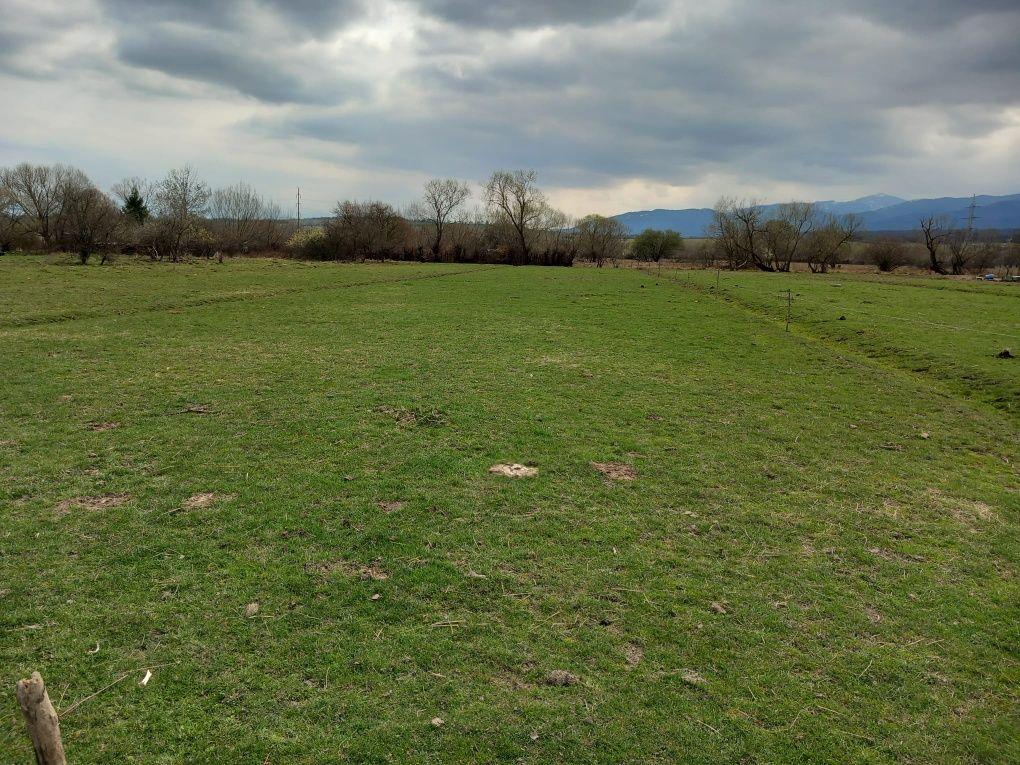 Teren extravilan Lunca Sibiu
