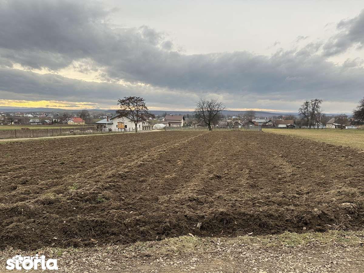 Teren intravilan în Mitocași 67500 euro - imagine 1