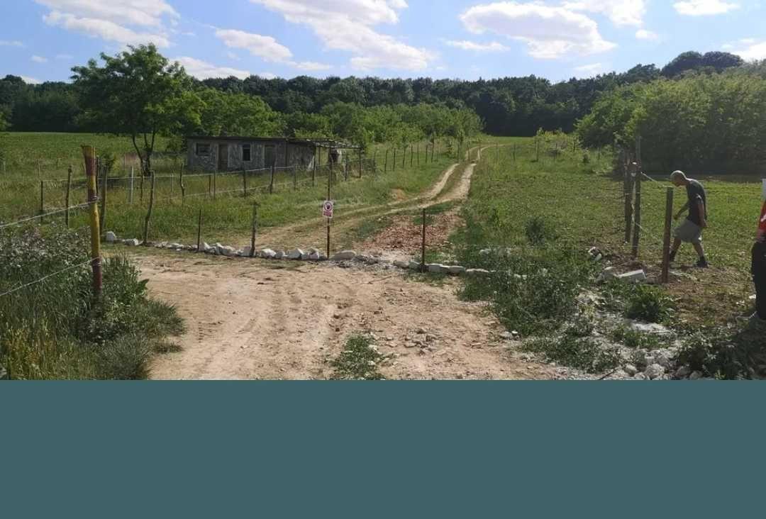 Teren Rediu Botoșani