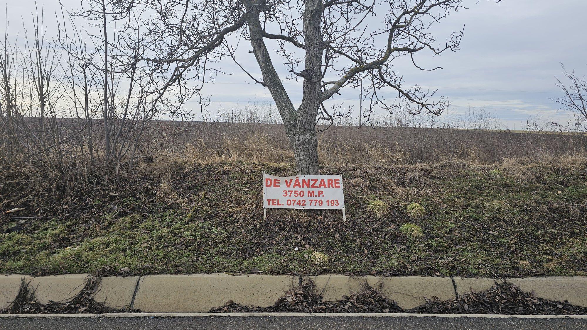 Teren De Vanzare