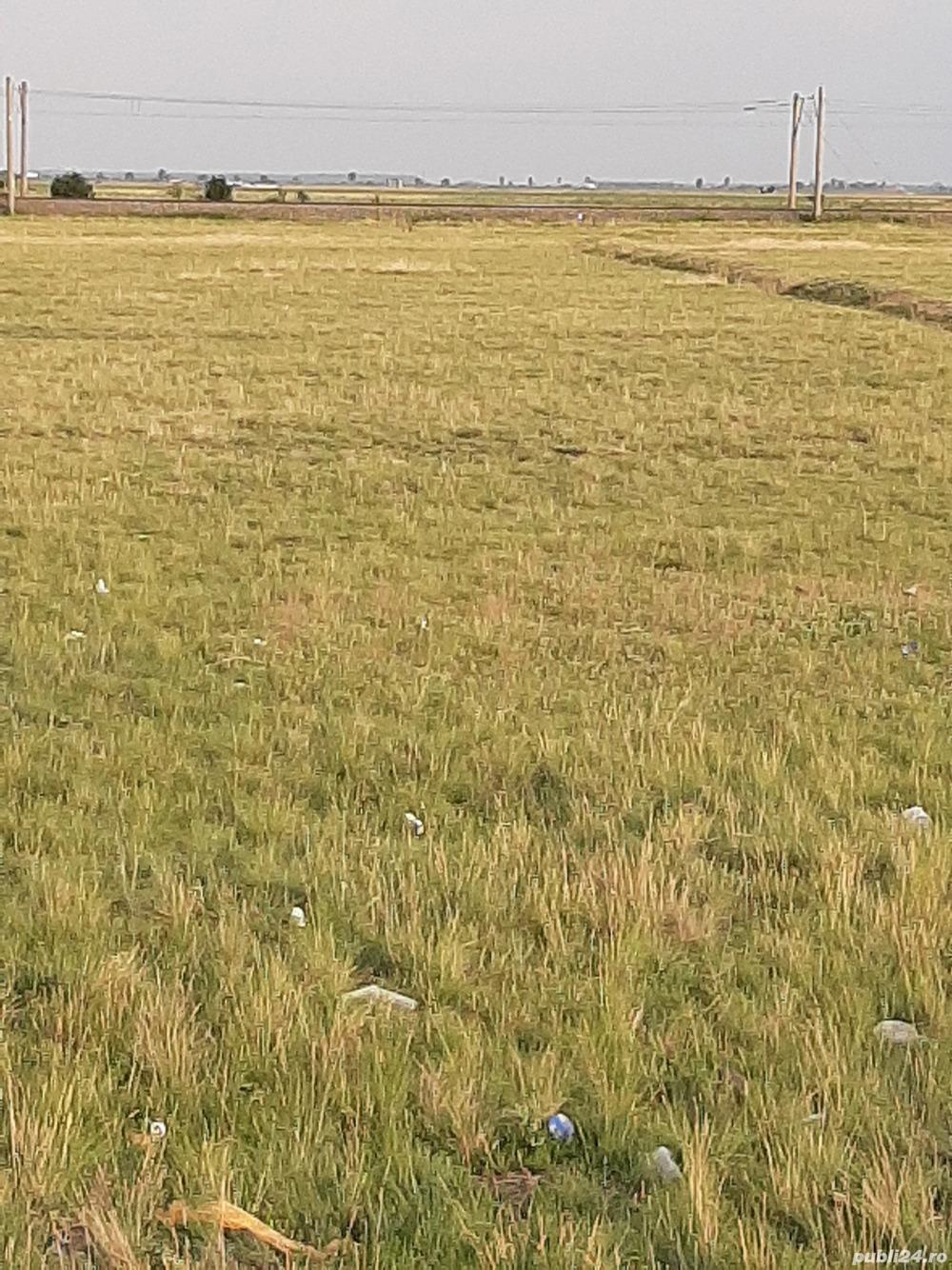 Vând teren intravilan Buzău