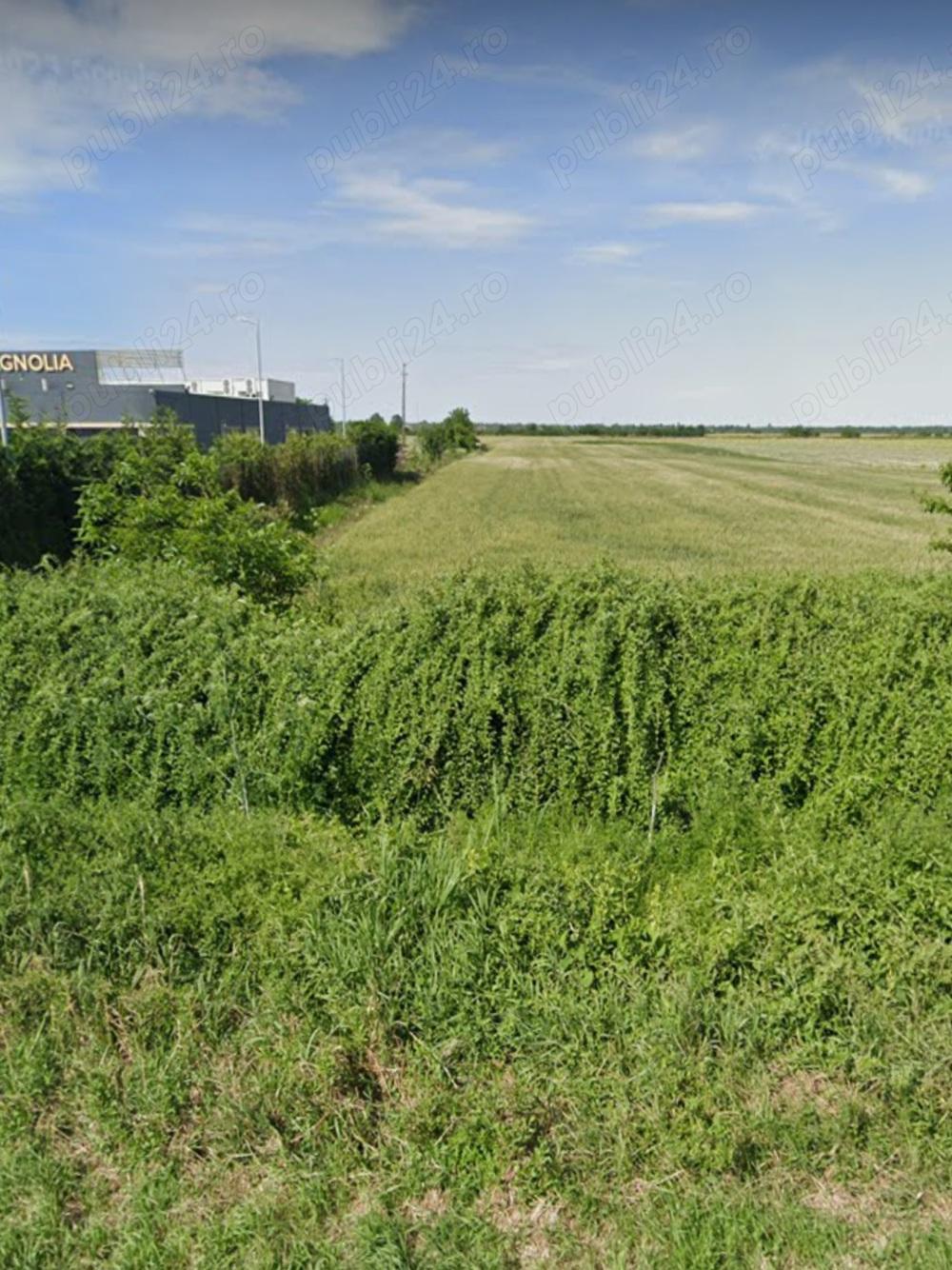 Teren intravilan DN2b lângă Avicola Buzau