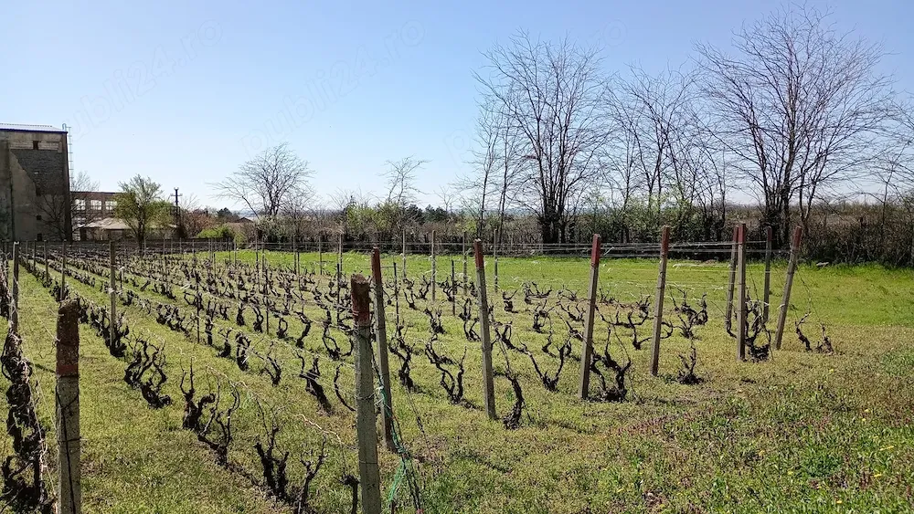 Teren Intravilan - Loc de Casa