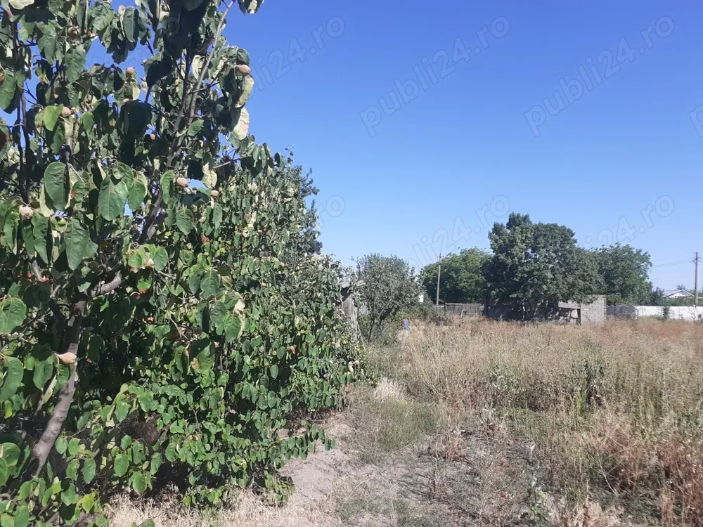 Vând teren intravilan sat Spataru