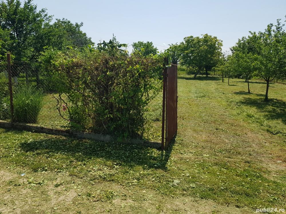 Vănd teren extravilan(6ari)în spate la  Hotel Dana drumul Careiului