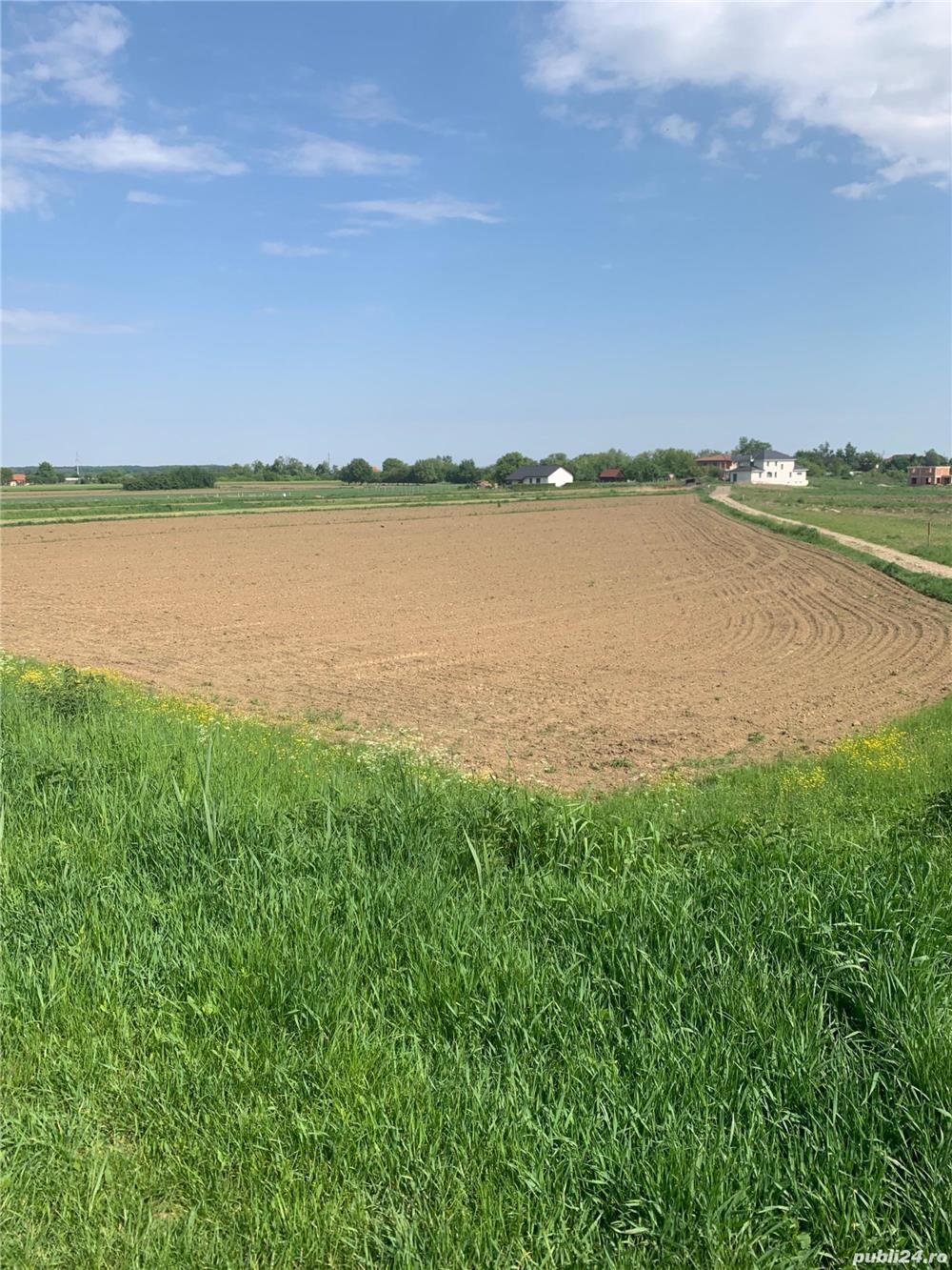 Teren intravilan zona Dara
