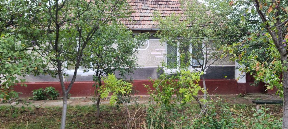 Vand casa sau schimb cu apartament sau garsoniera conf 1 - imagine 1