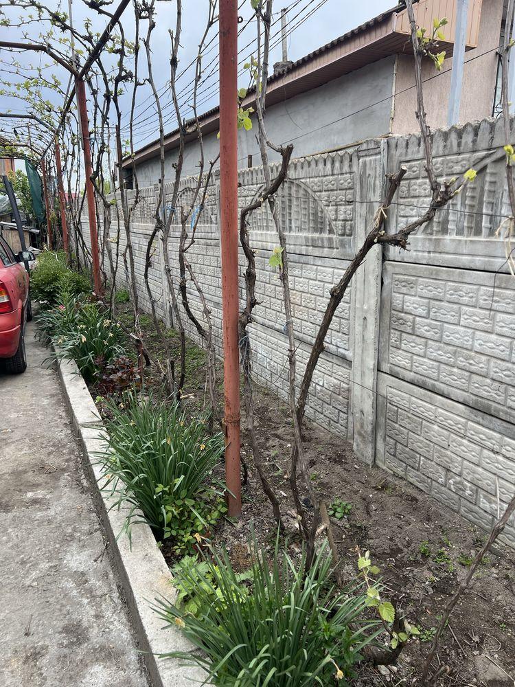 Casa de vanzare  str Fermierului cartier Brestei