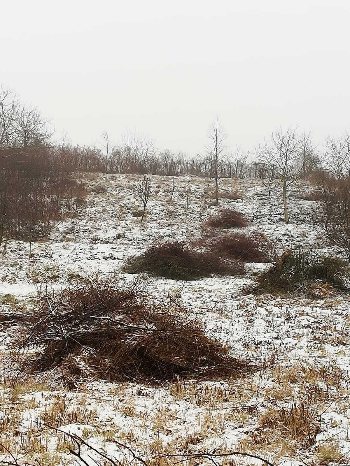 Vând teren Oradea str Gh Doja