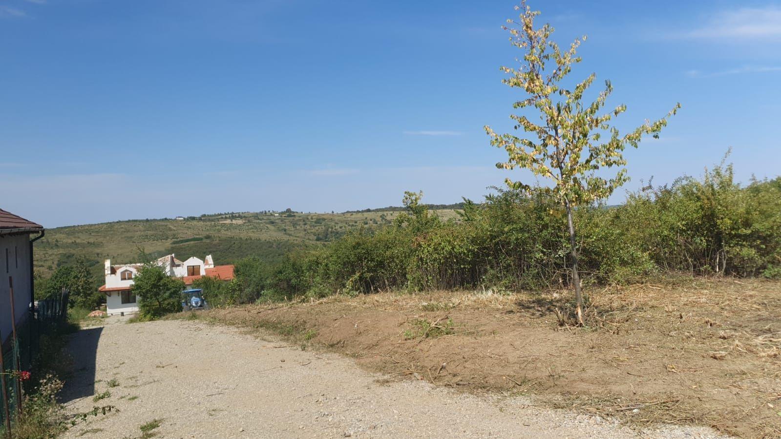 Vand teren Gheorghe Doja