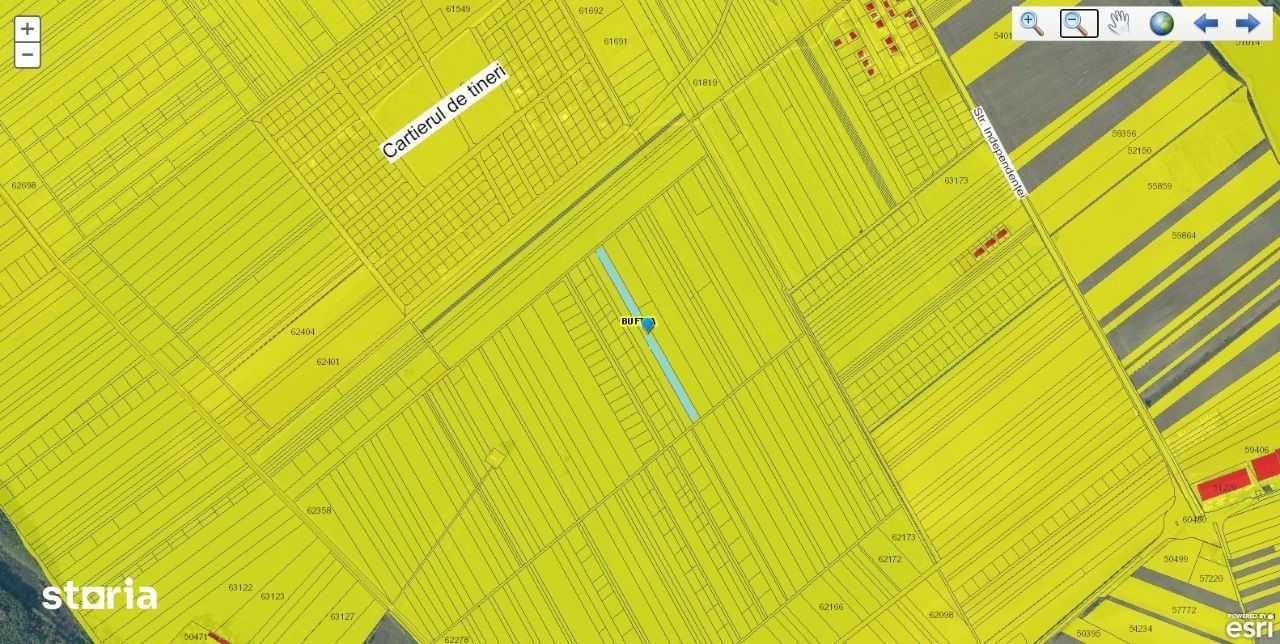 Teren intravilan de vanzare - Buftea, Flamanzeni - imagine 1