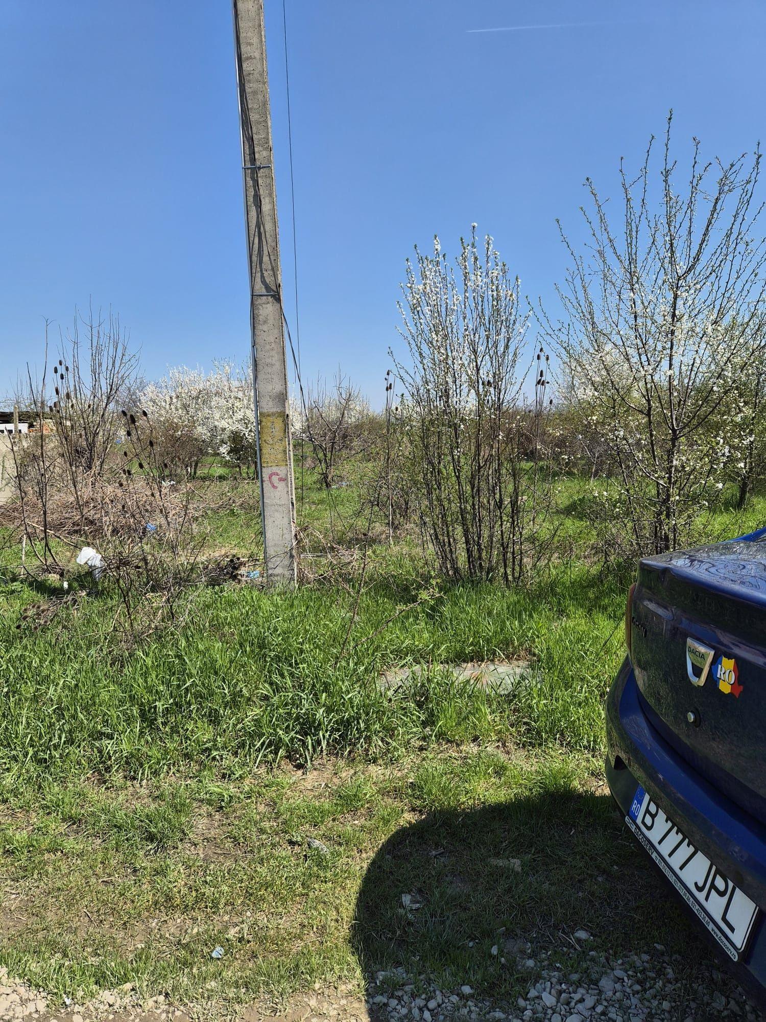 VANZARE teren Mogosoaia - imagine 1