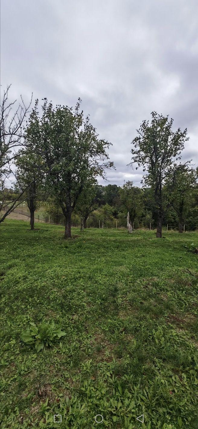 Vând doua terenuri zona Cuca - imagine 1