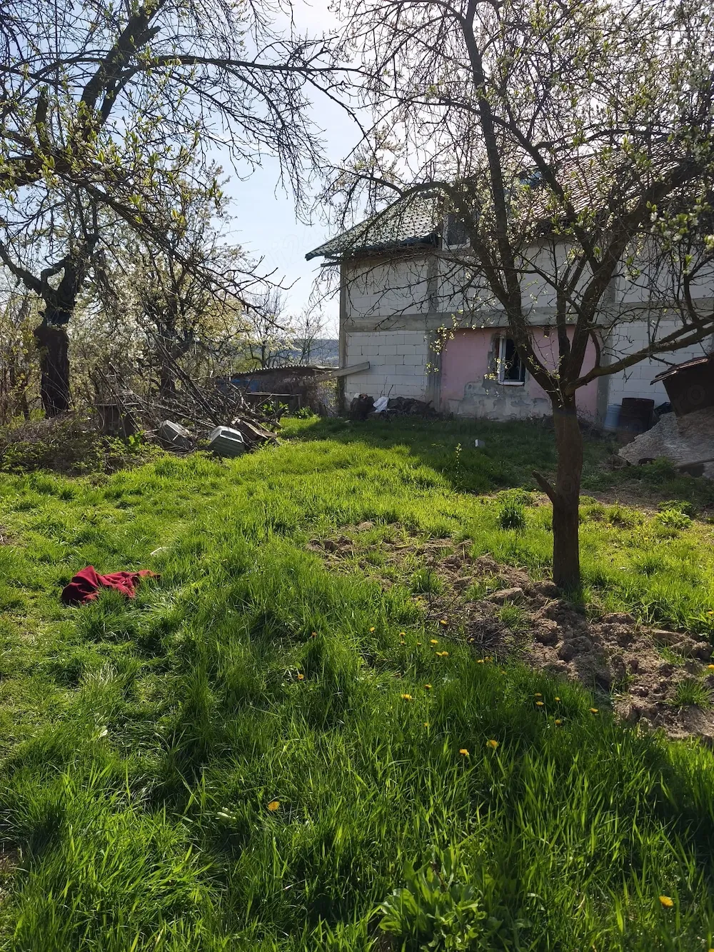 Proprietate completă 0,9 ha   Casă P+1 + foișor + livadă + pădure în spate   Bogați, Argeș - imagine 1