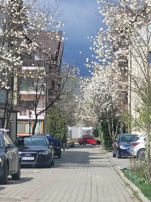 schimb apartament  cu casa bacau