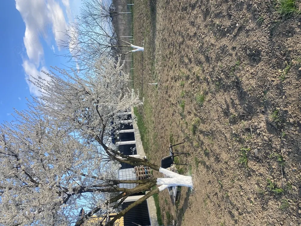 Teren intravilan -municipiul Bacău