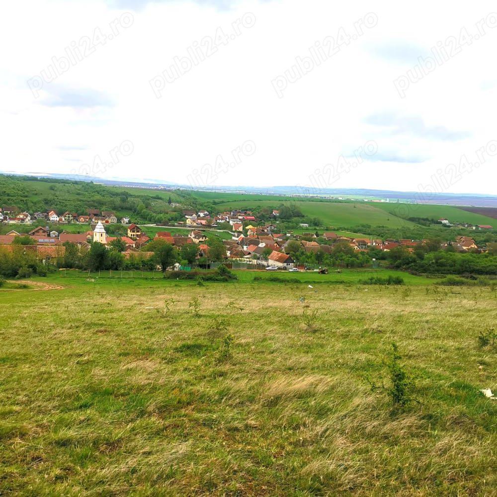 Teren Sura Mica și Sibiu