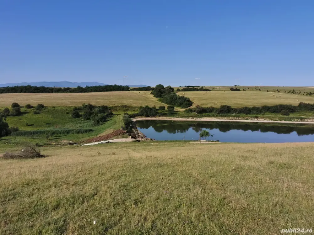Teren extravilan dealul daii
