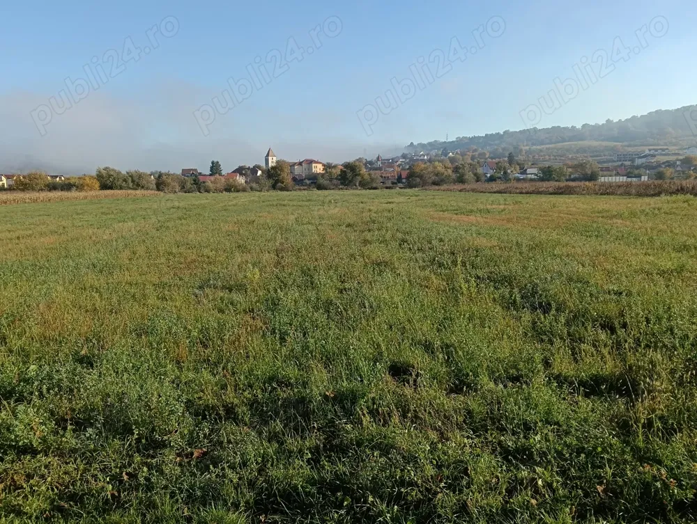 Vând teren intravilan