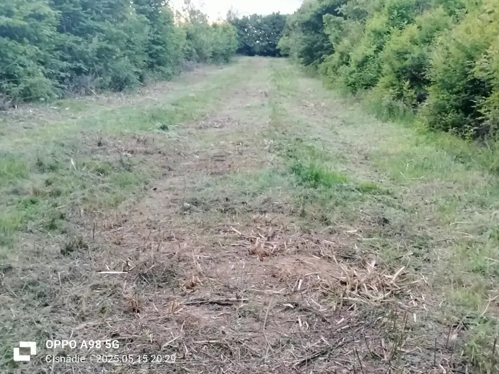 Se vinde urgent teren intravilan