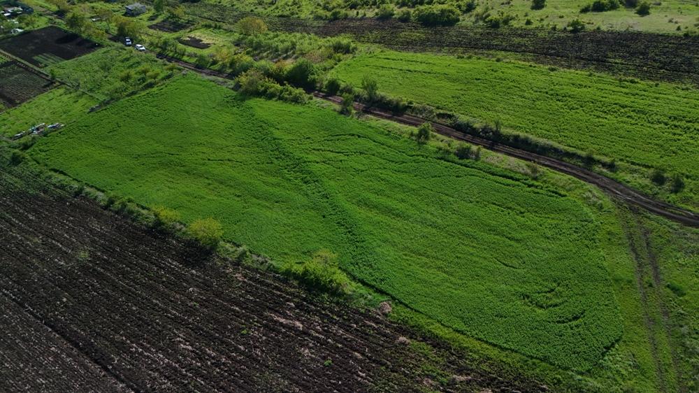 Teren Valea Fanatelor(3600mp), 20euro_mp, CLUJ