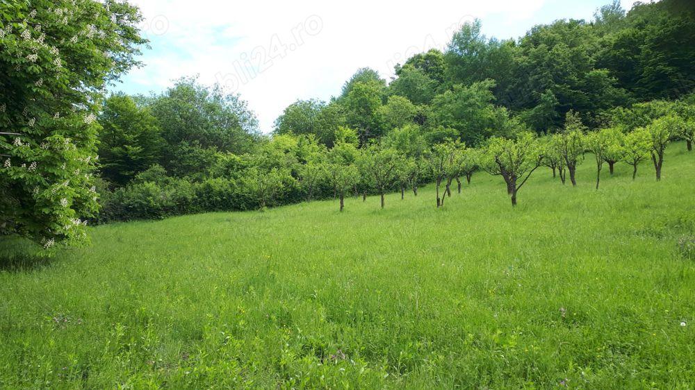 Vand teren+livada pomi fructiferi Aleea Castanilor