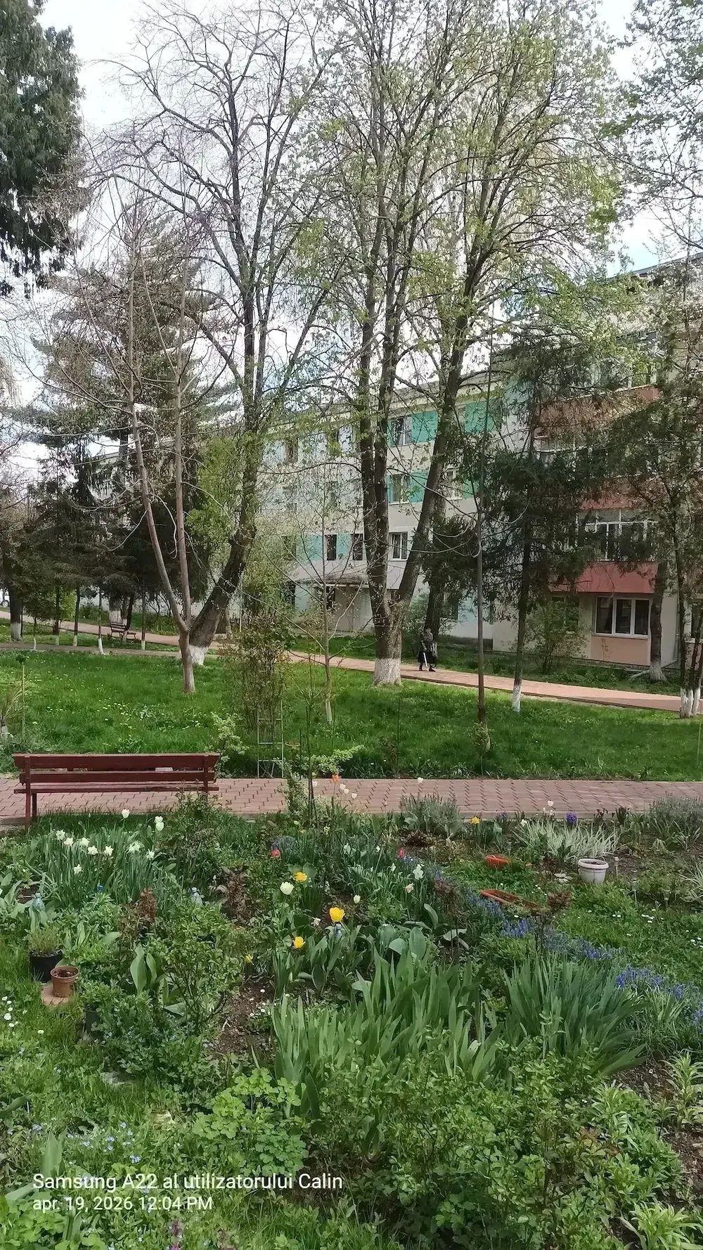 Apartament 3 camere in Suceava, multiple imbunatatiri, centrala termica, zona centrala, frumoasa. - imagine 1