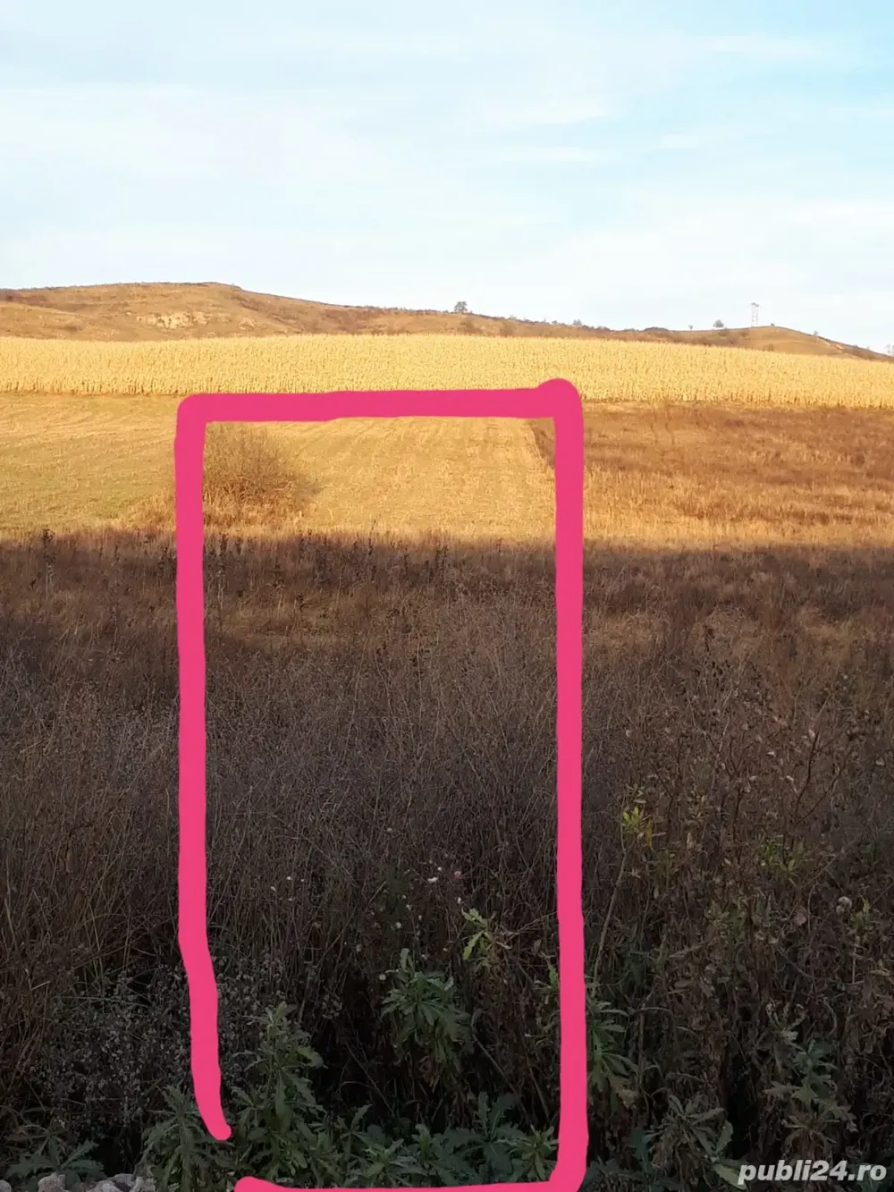 Vând teren extravilan