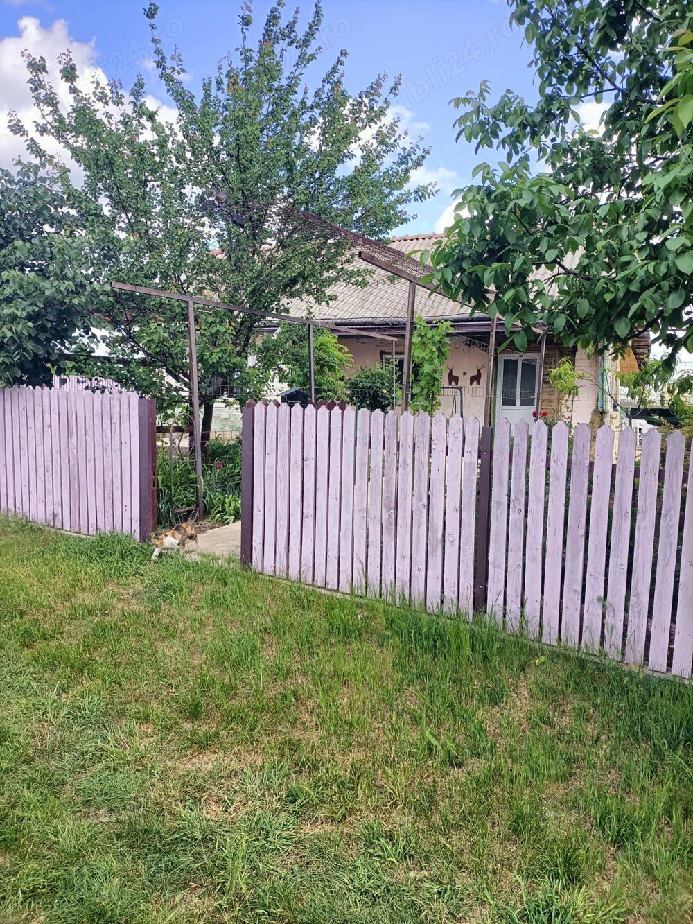 Vand casa in Barsanesti, judetul Botosani, teren 3868 mp - imagine 1