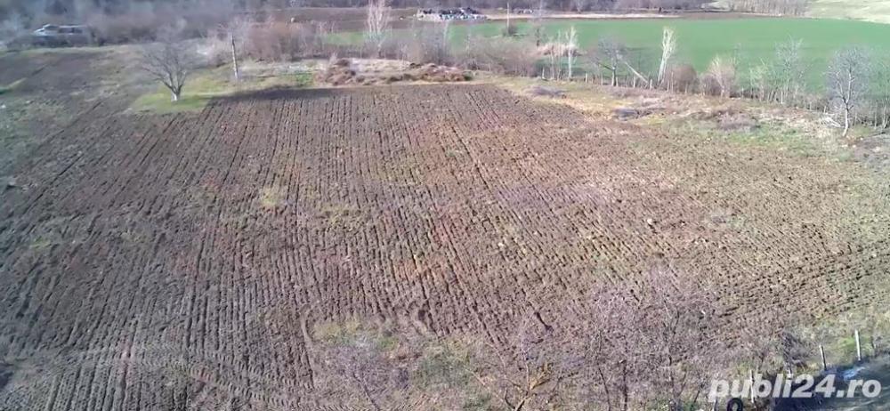 Teren intravilan de vanzare, Aleea Albina, Botosani, 79 euro mp