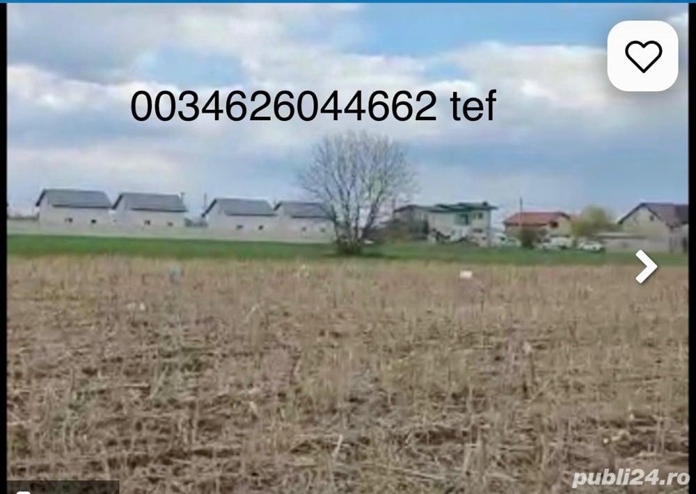 Teren de vinzare in Bragadiru