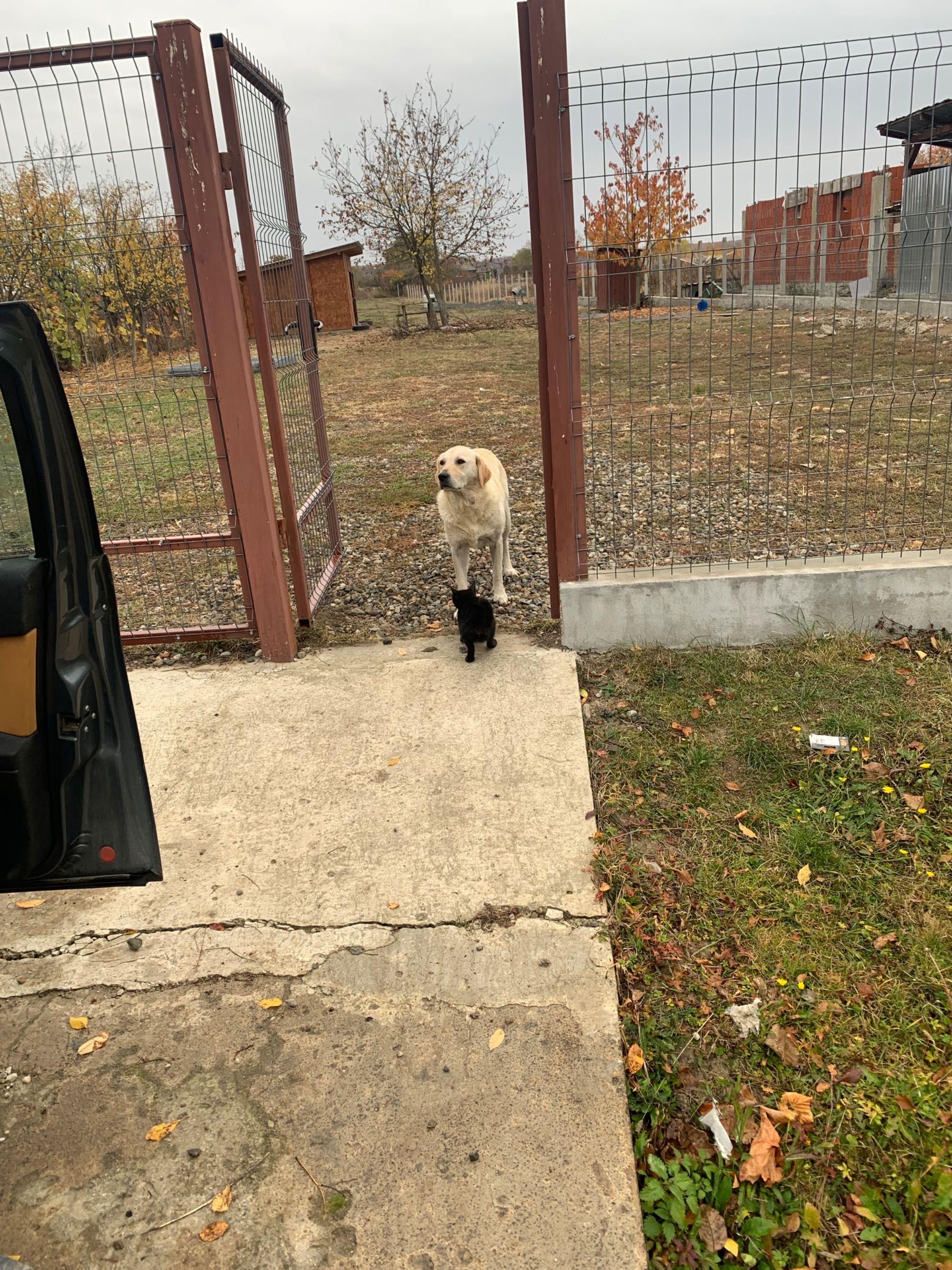 VAND  teren intravilan in APATEU comuna NOJORID