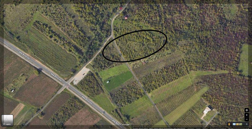 Teren Oncea - Calea Bihorului - 5000 MP