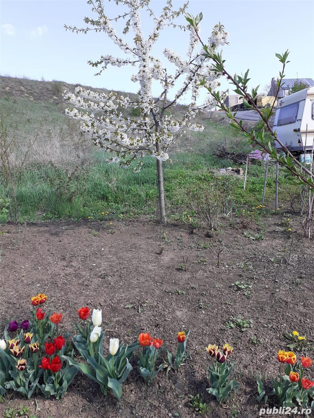 Vand teren intravilan 4300m