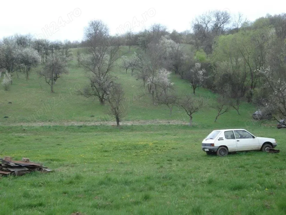 teren  intravilan suceagu baciu 1000 mp