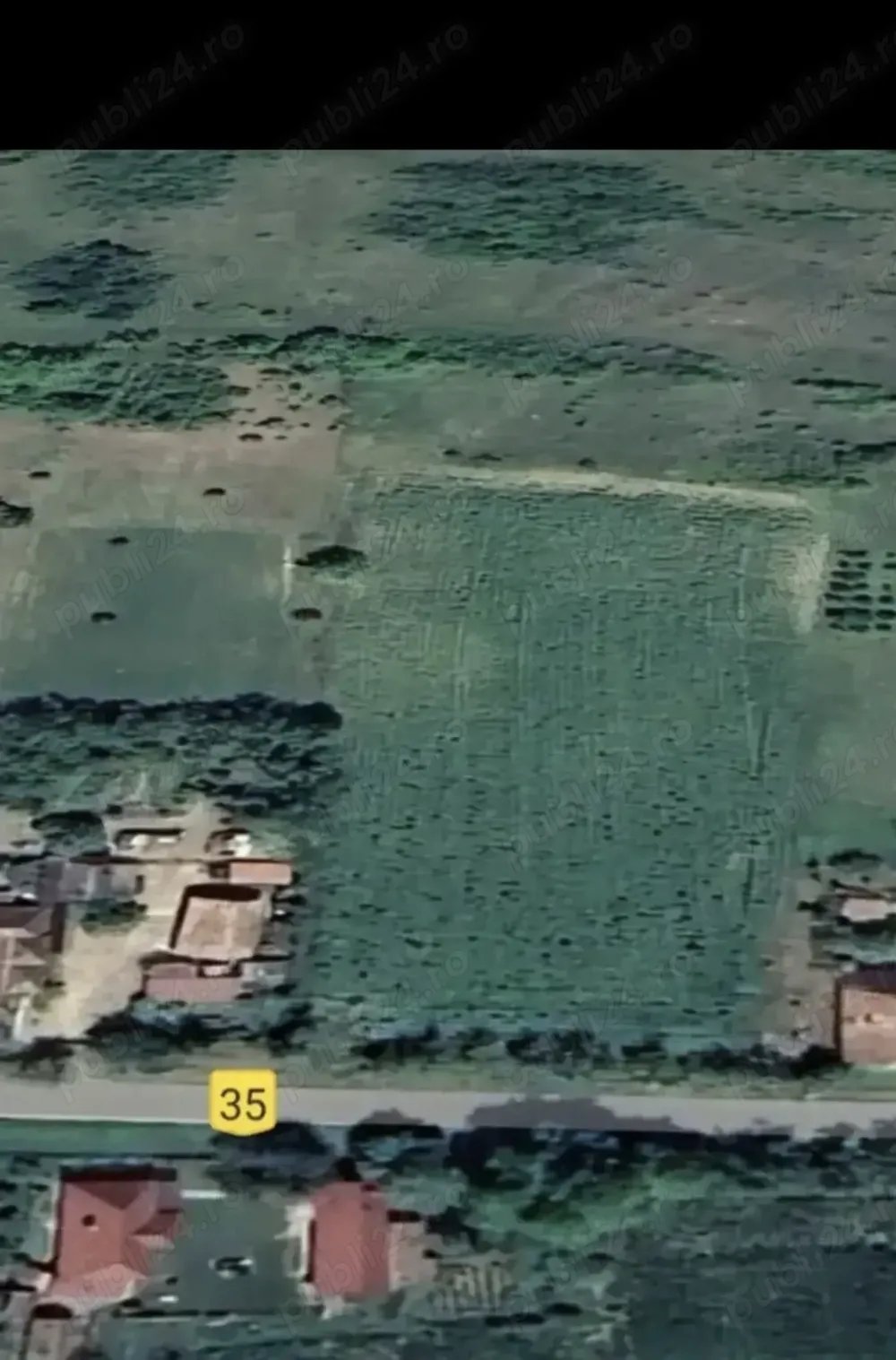 Vind teren en Sintioana