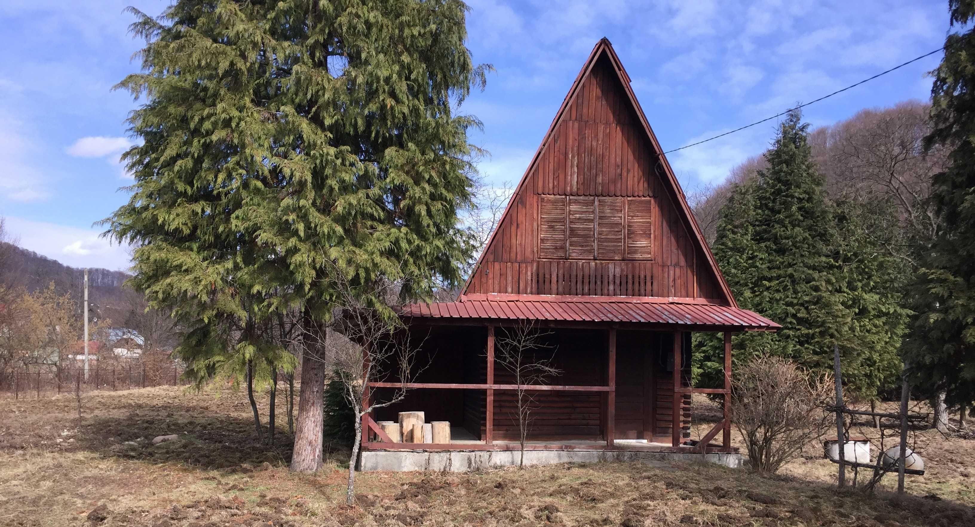 teren si cabana Firiza(Baia Mare) - imagine 1