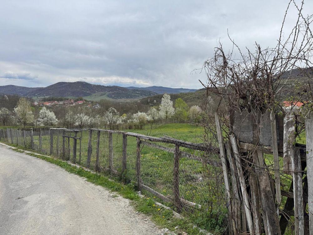 Vând teren intravilan in Bogdanesti, comuna Bujoreni, Vâlcea - imagine 1