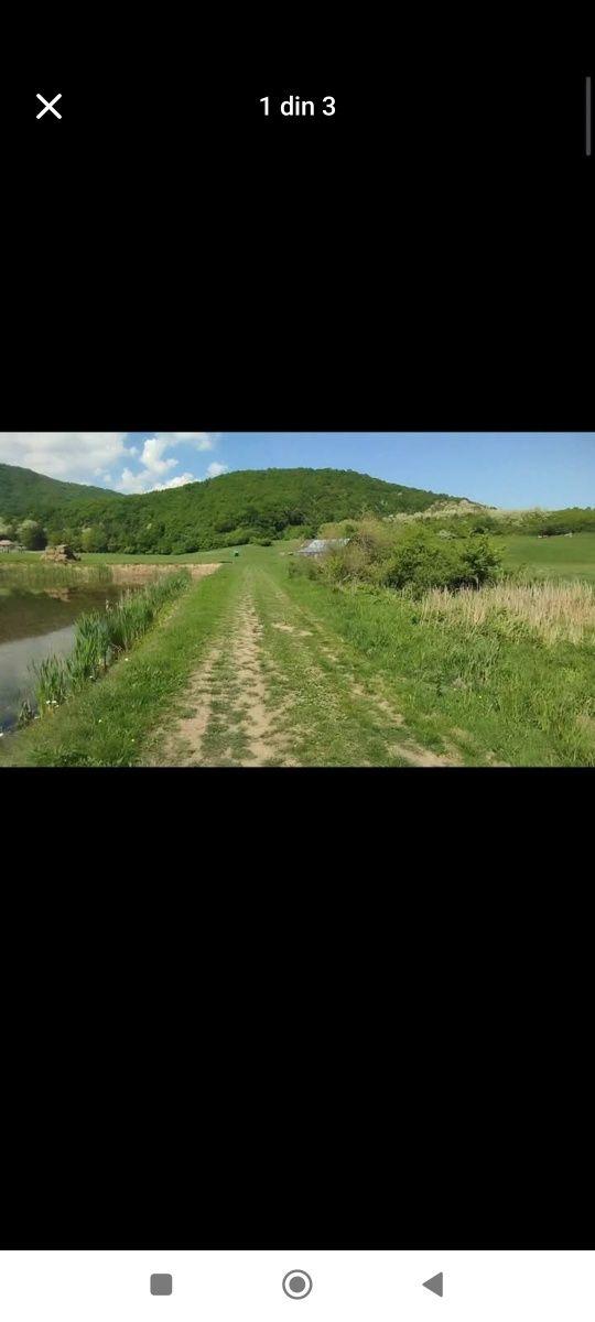 Teren extravilan Orlat - imagine 1