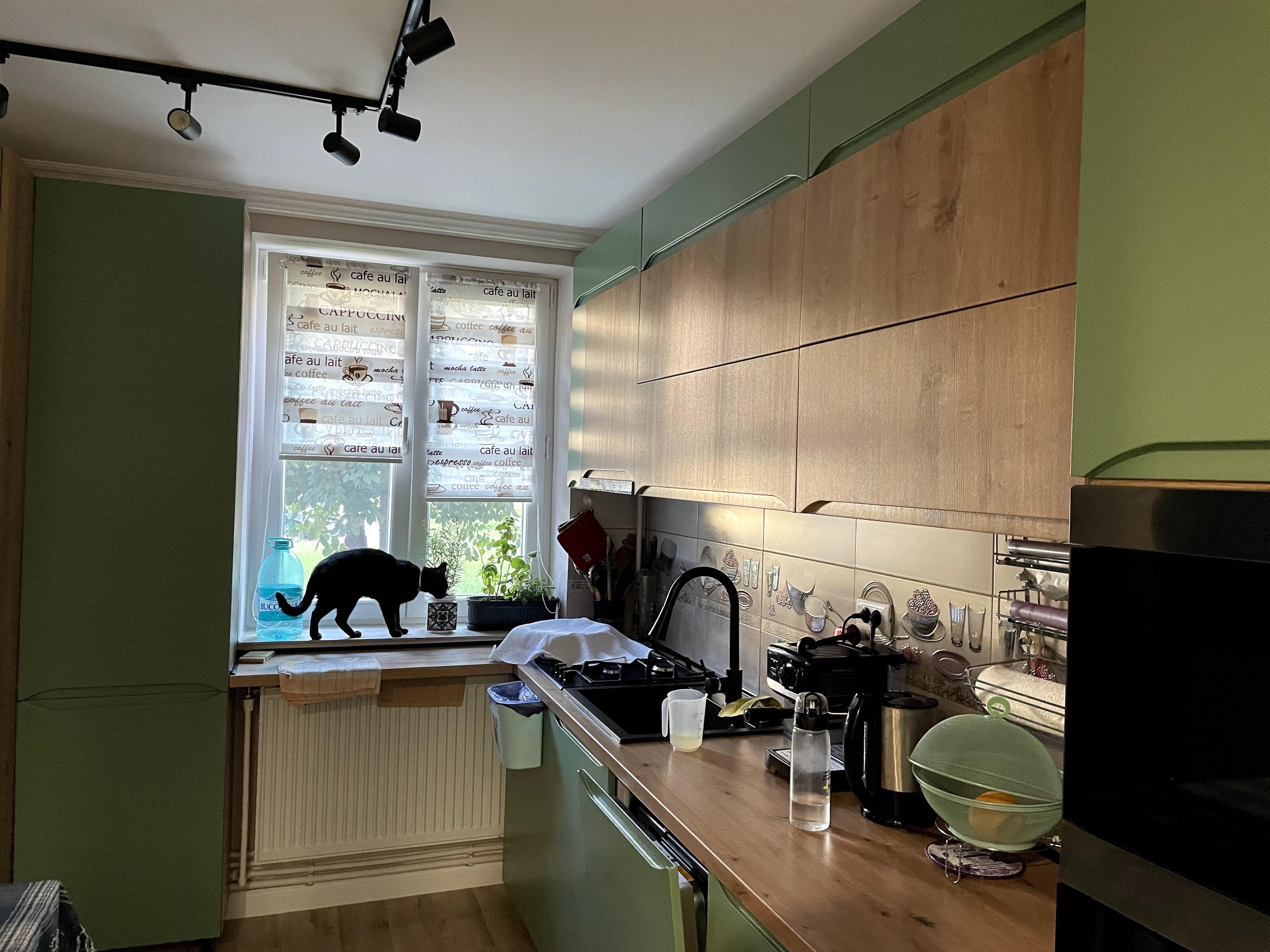 Inchiriez apart 2 camere ˝cat friendly˝ zona foarte verde si linistită - imagine 1