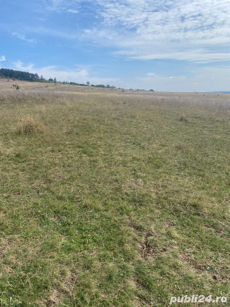 Vând teren extravilan  zona Emerson