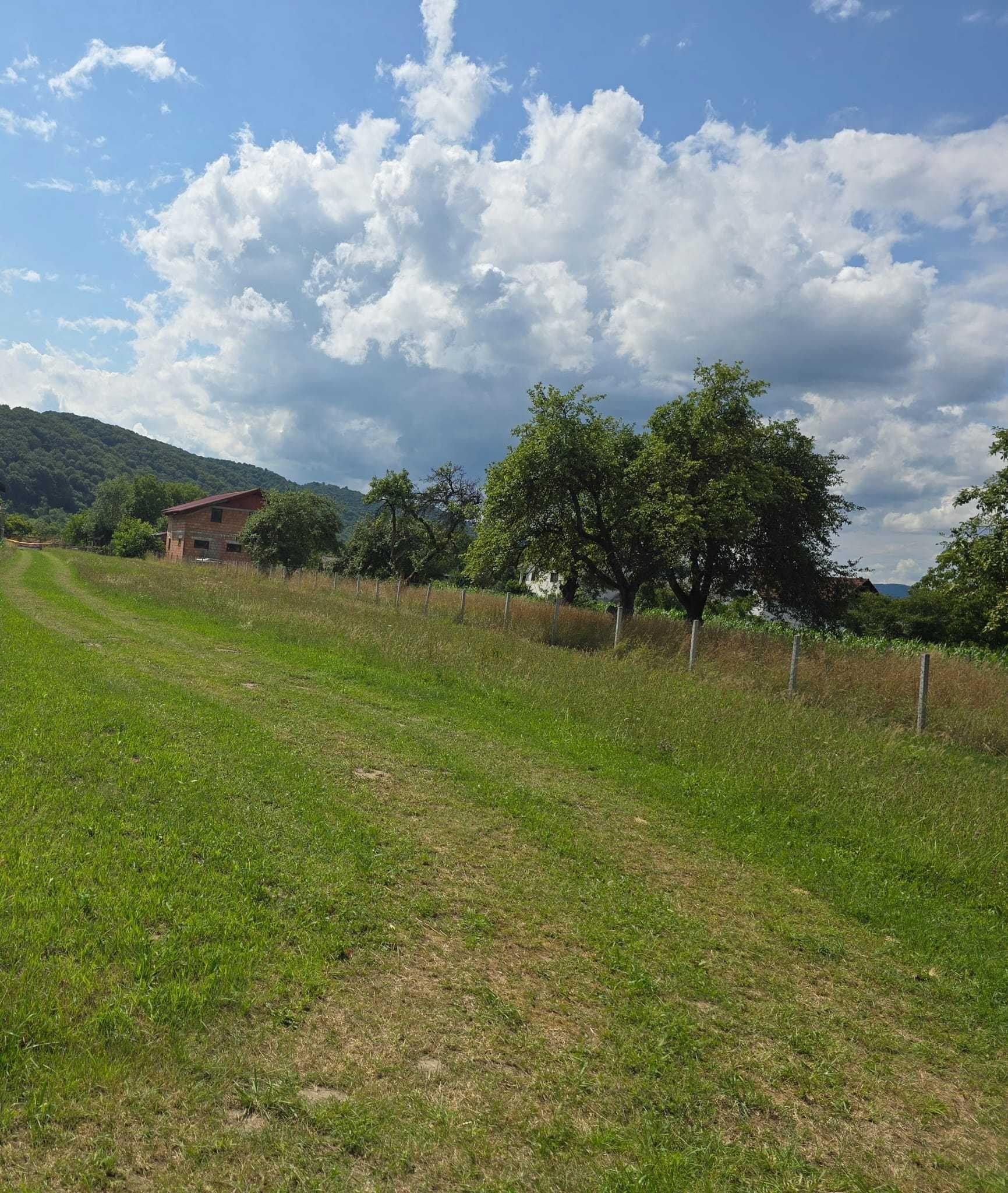 Teren intravilan