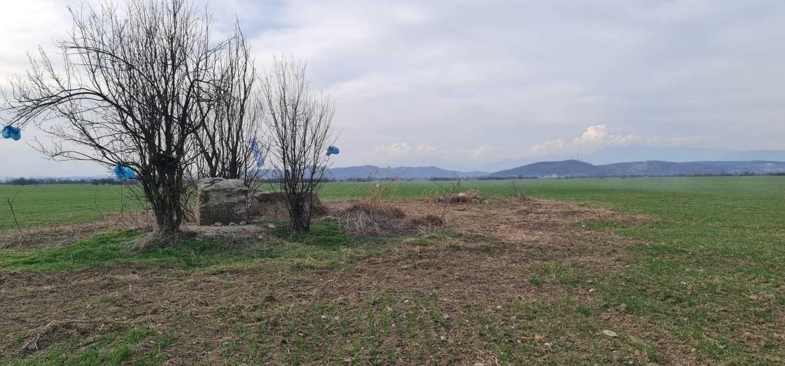 Teren Extravilan Voinigești, Gorj - imagine 1