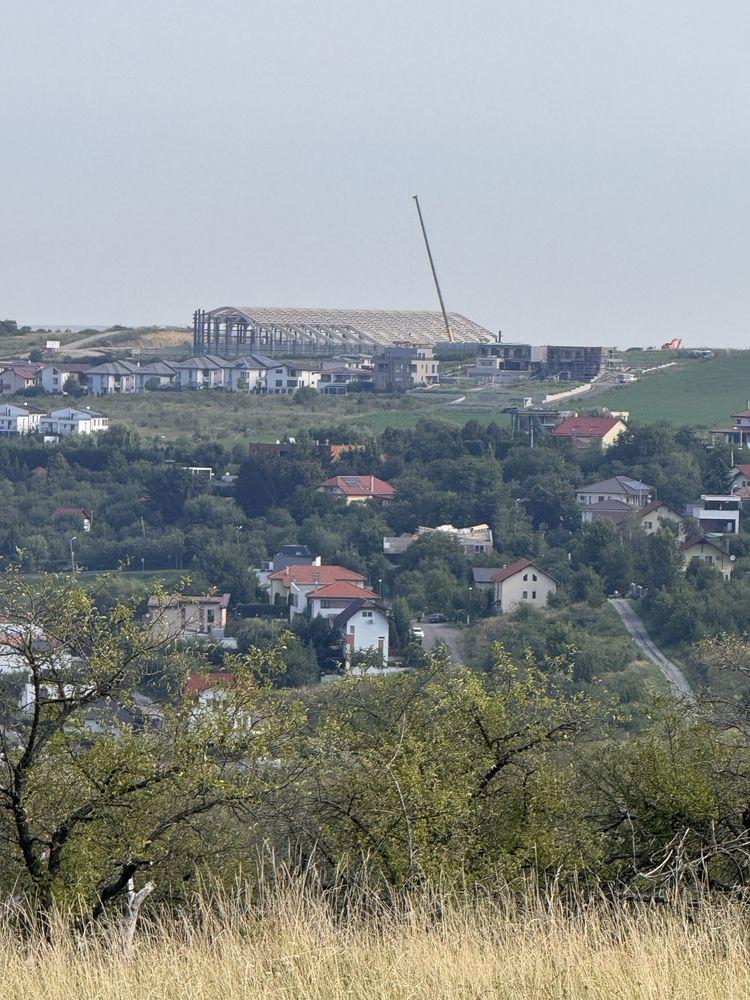 Teren extravilan de vânzare – 2.800 mp | Livada Palocsay, Borhanci
