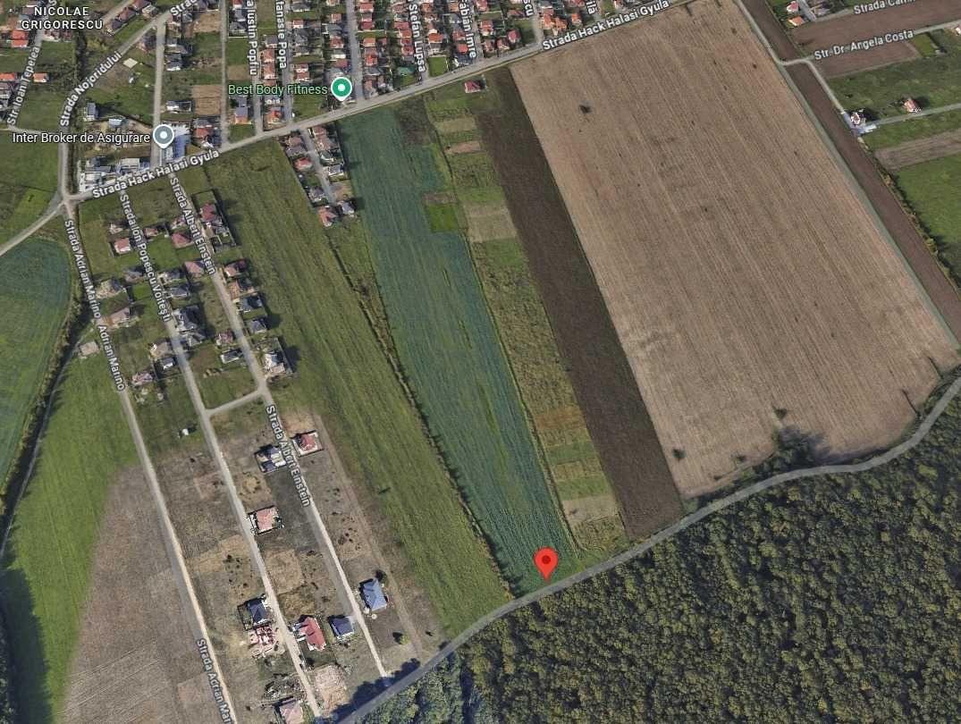 Teren in cartierul Grigorescu langa padure