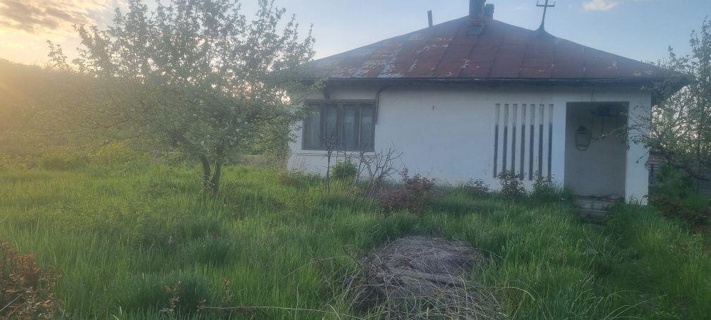 Proprietate Teren  3.900 mp | Deschidere dublă | Locație centrală – parc & grădiniță | Strunga Iași